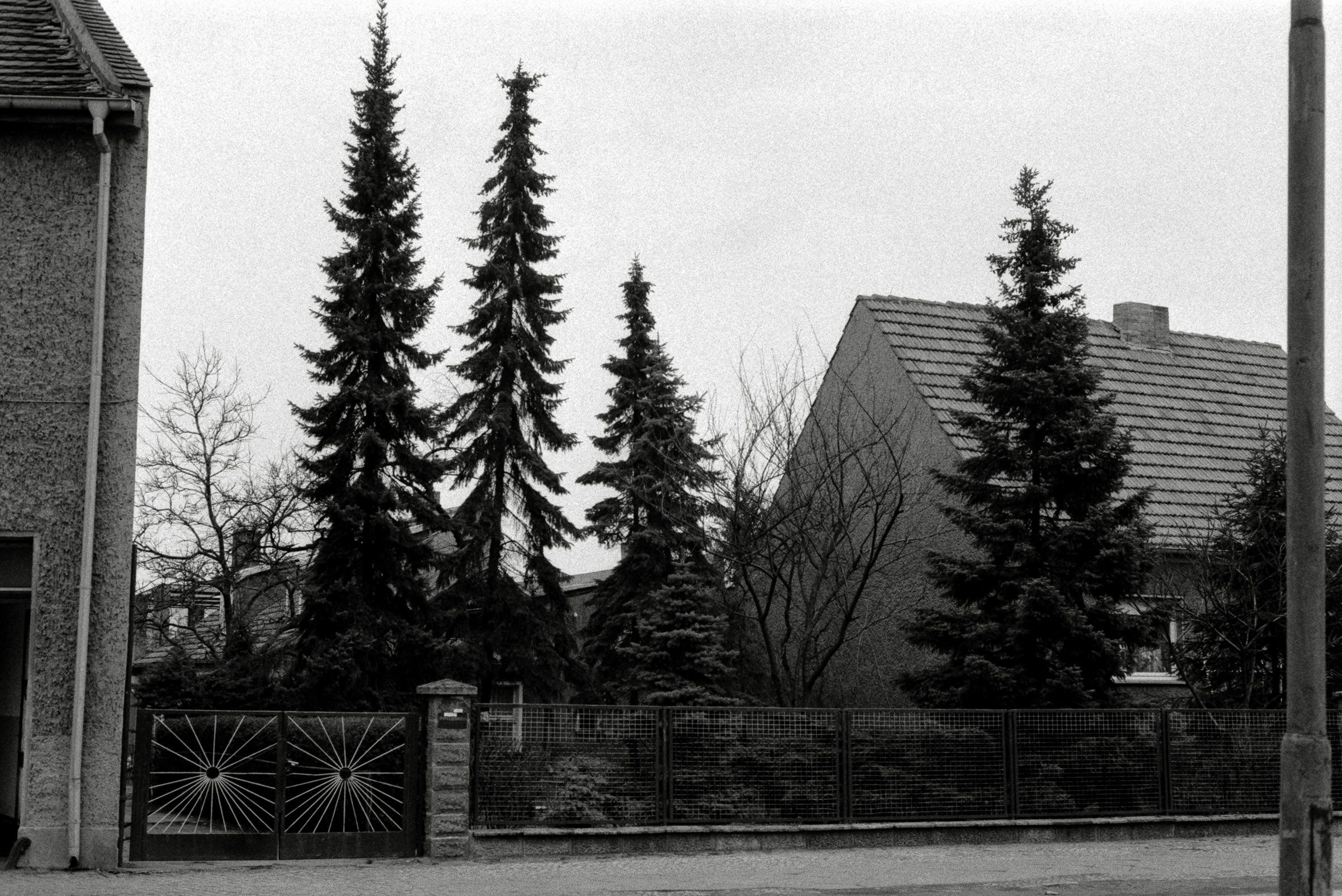 AHP F1993 03 003 sc240902 img25 NLP